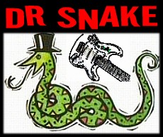 drsnake Logo