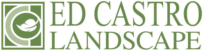 edcastrolandscape Logo