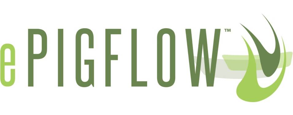 epigflow Logo