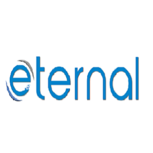 eternalsoft Logo