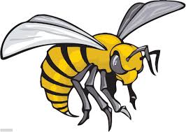 europeanhornet Logo