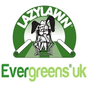 evergreensuk Logo