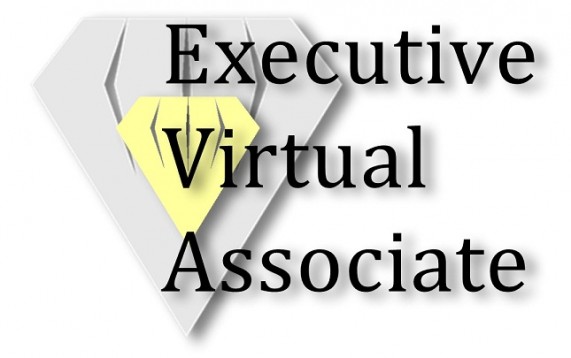 executiveva Logo