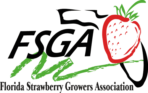flastrawberry Logo