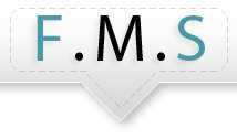 fms-seo Logo