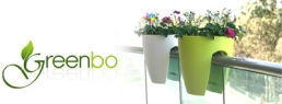 greenbo Logo