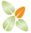 greenfit Logo