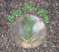 healingsteeldrums Logo