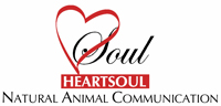 heartsoulnaturalcom Logo