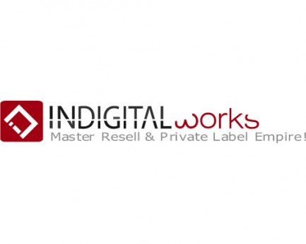 indigitalworks Logo
