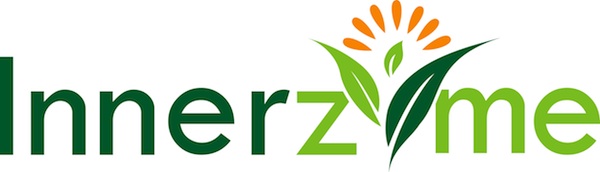 innerzyme Logo