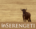 inserengeti Logo