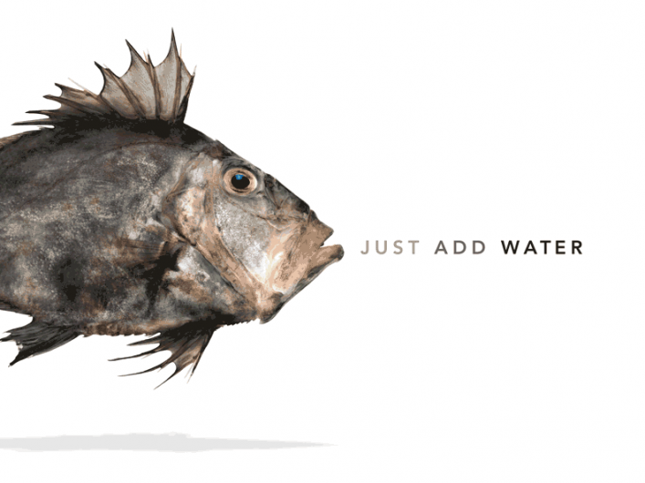 justaddwater Logo