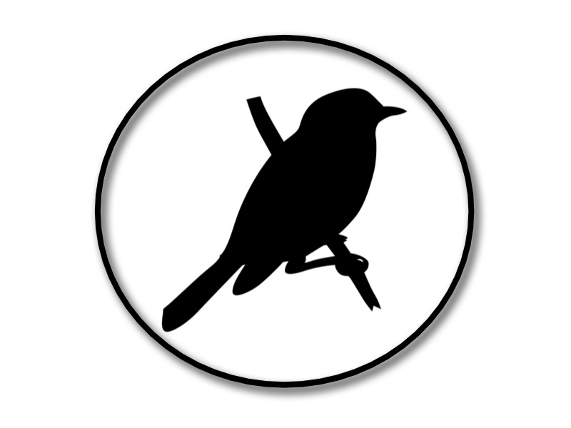 kingbirdproductions Logo