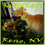 kittykafereno Logo