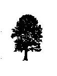 loblolly Logo