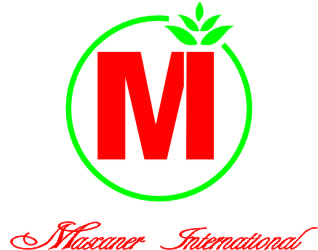 maxanerinternational Logo