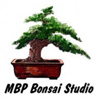 mbpbonsai Logo