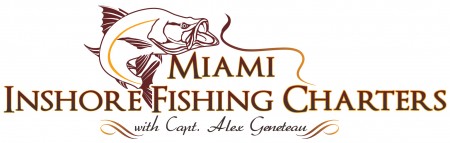 miamiinshorefishing Logo