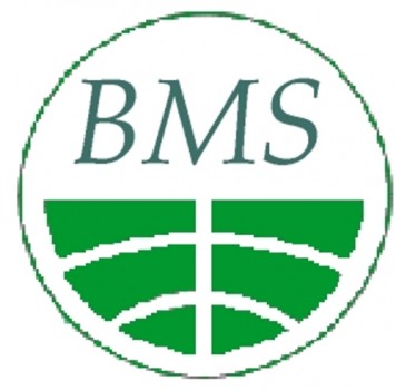 msatbms Logo