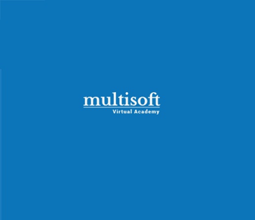 multisoftprem Logo