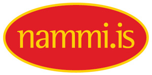 nammiiceland Logo