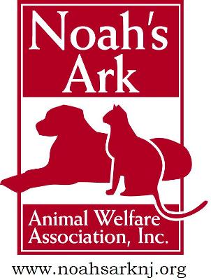 noahsarknj Logo