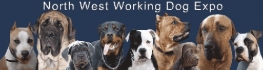 nwworkingd Logo