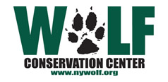 nywolf Logo