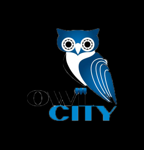 owlcitysg Logo