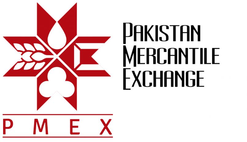 pmexcustomersupport Logo