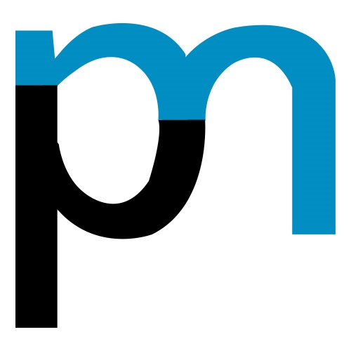 prismetric Logo