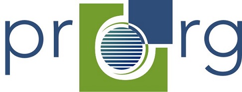 prorg-solutions Logo