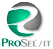 prosel-it Logo