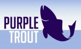 purpletrout Logo