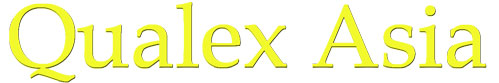 qualex_url Logo
