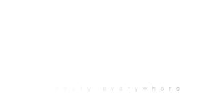 salontaneous Logo