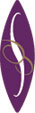 schneidermanpr Logo