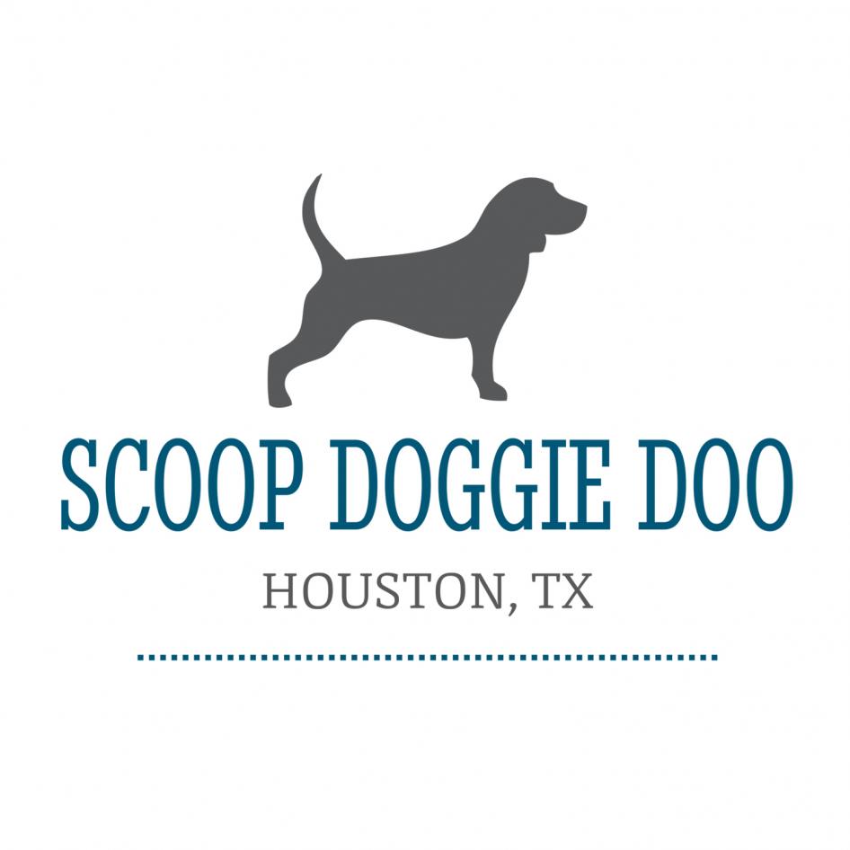 scoopdoggiedoo Logo
