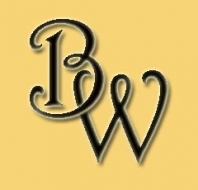 seo-websiteoptimizer Logo