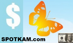 spotkam Logo