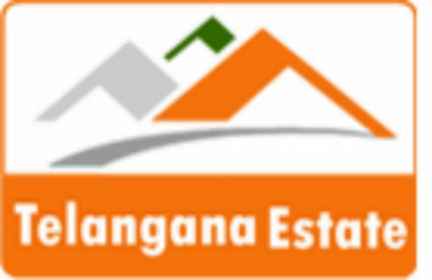 telanganaestate Logo