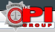 thePIgroup Logo