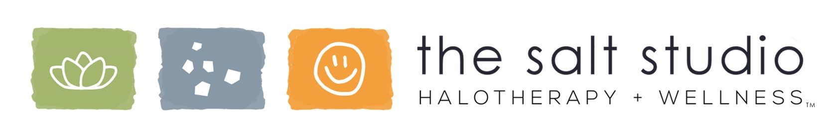 thesaltstudio Logo