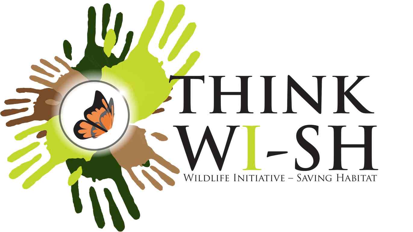 thinkwi-sh Logo