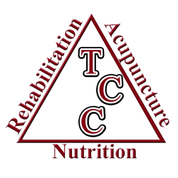 totalchiropractic Logo