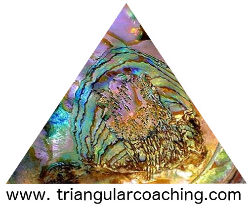 triangularcoaching Logo