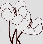 violetsknickers Logo