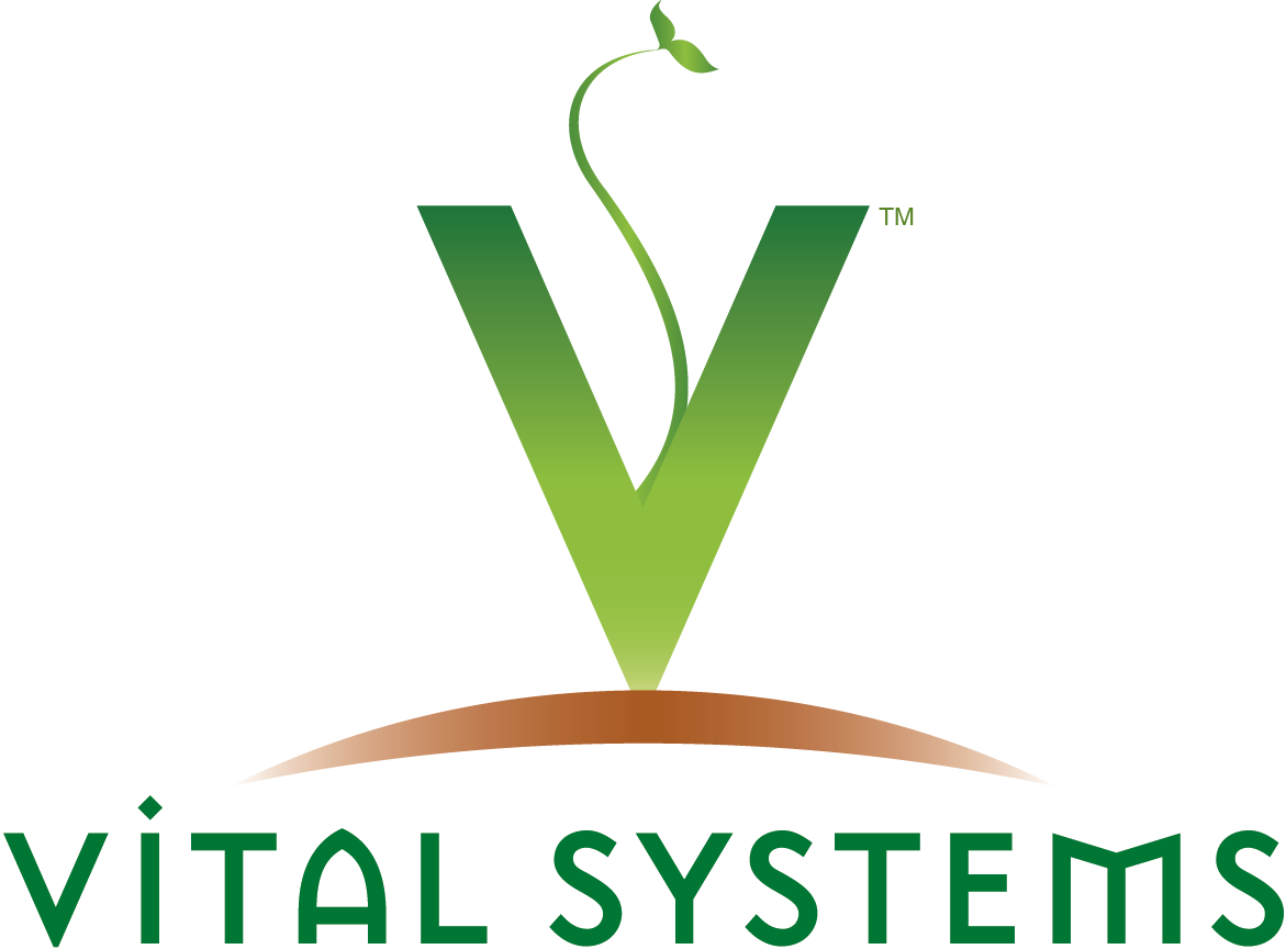 vitalsystems Logo