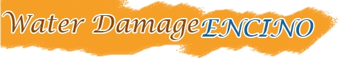 waterdamageencino Logo